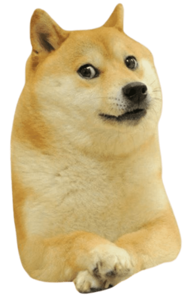Doge